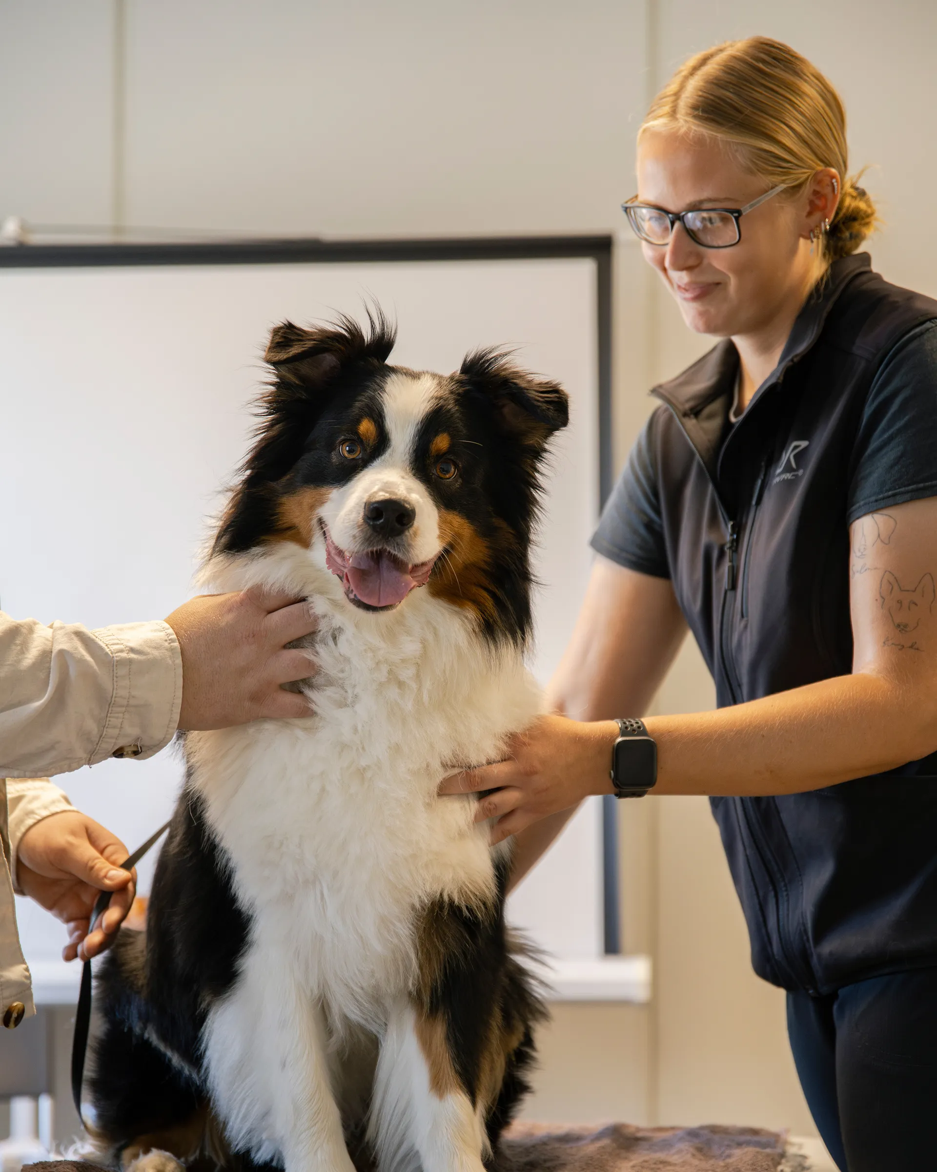 Working Dog Center